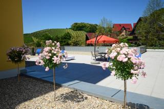 Residence am Weinberg / Travellers Hotelbetriebs GmbH - Sasbachwalden - 9