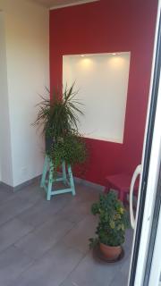 La Maison des Oiseaux - 7