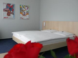 Hotel Meran Hallenbad & Sauna - Saarbrücken - 3