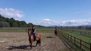 Foresteria La Rubbianetta - 5