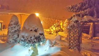 Pension & Gasthof "Am Park" UG - 9