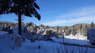 Pension & Gasthof "Am Park" UG - Stützerbach - 7