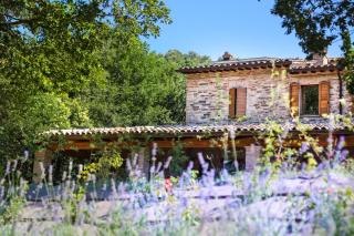 Agriturismo La Caputa - Urbania - 3