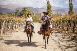 Grace Cafayate - Cafayate - 8