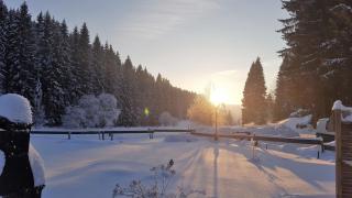 Pension & Gasthof "Am Park" UG - Stützerbach - 8