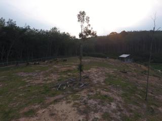 Chalet Kampong Semawar - 5