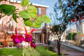 Qhini Hotel Boutique - La Paz - 8