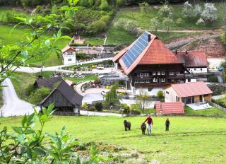 Müllerjörgenhof - Gutach - 9