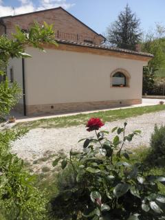 Agriturismo Fonte Carra - Grottazzolina - 4