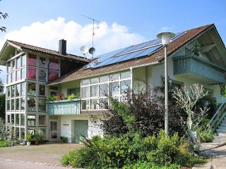 Apartment in Goggersreut with Terrace - Röhrnbach - 3
