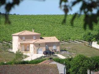 Modern Apartment in Segonzac with Swimming Pool - Segonzac - 9