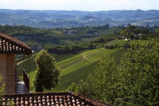 Cascina Alberta - Treiso - 4