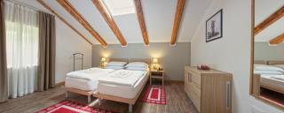 Residence Cavanis Wellness & Spa - Sappada - 2