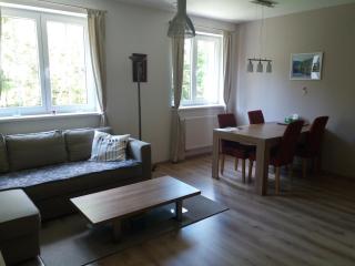 Apartmán Špičák Sruby - Špičák - 3
