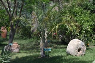 Hotel Dar Zitoune Taroudant - Taroudant - 8