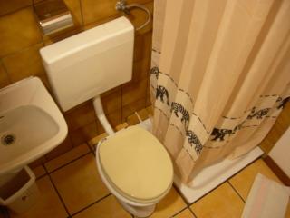 Apartma NADIŽA Borjana107 - Borjana - 1