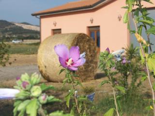 Agriturismo La Nocciolina - Venturina Terme - 1