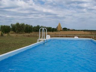 Agriturismo La Nocciolina - Venturina Terme - 3