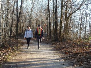Fattoria Busa dell'Oro - Monte Ortone - 6