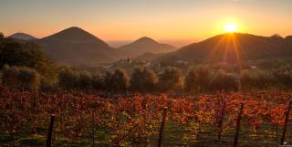 Fattoria Busa dell'Oro - Monte Ortone - 5