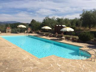 Terre Di San Gorgone - Donnini - 9