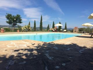 Terre Di San Gorgone - Donnini - 7