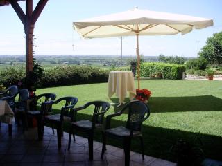 Le Bianchette Agriturismo e Fattoria Didattica - Sommacampagna - 5