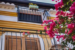 La Casa di Ivana - 8