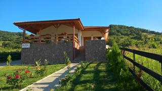 Villa Rustica - Gornea - 7