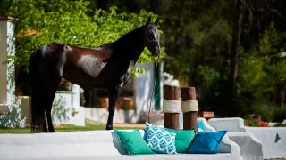 Cortijo De Ramón - 2