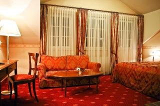 Parkhotel Idar-Oberstein - Idar-Oberstein - 6