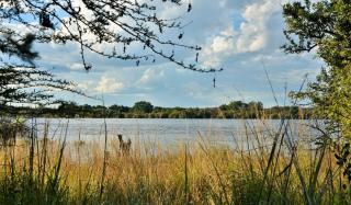 Thebe River Safaris - 5