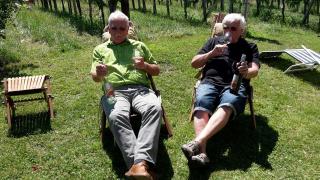 Winzerhof Familie Klöckl - 1