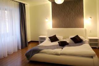 Grün Haus Studio - Sibiu - 6