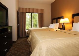 Comfort Suites At Kennesaw State University - Kennesaw - 2