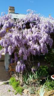 Woodvale at Cooma - Cooma - 5