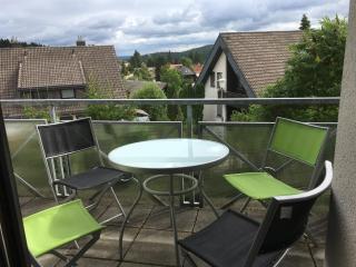 schwarzwald-apartment - Schönwald - 3