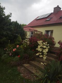 Domek pod brzozą - Mrągowo - 1