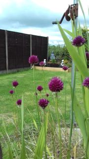 Woodlands House - Farranfore - 1