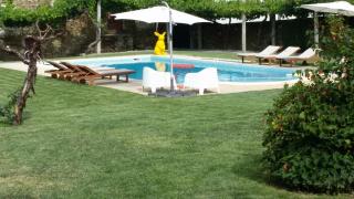 Casa Castedo do Douro - Castedo - 4