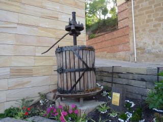Los Calaos de Briones - Briones - 1