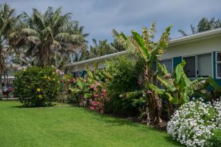 Aloha Apartments - 7