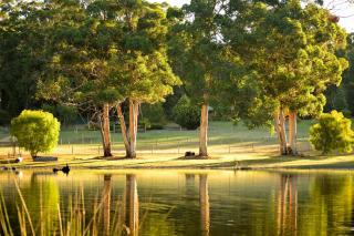 Diamond Forest Farm Stay - Manjimup - 7
