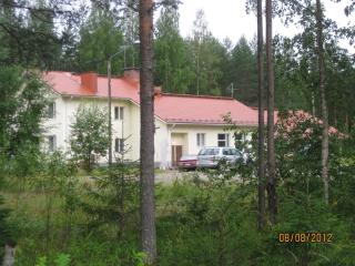 Lakefinland Guesthouse - Heinävesi - 0