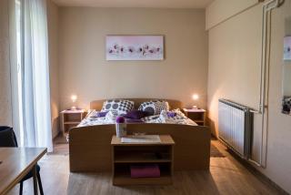 Guest House Tara - Moravske-Toplice - 2