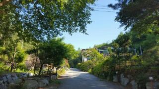 Pinearoma Pension - Hongcheon - 9