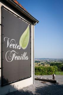 Vertes Feuilles - Saint-Sauveur - 0