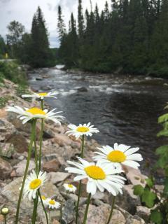 Chalet du Versant Nord - 7