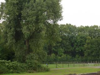 Ruhrstadtarena Hotel - Herne - 4