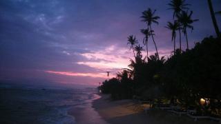 Malee Villa (Beach Inns Holiday Resort) - Matara - 5
